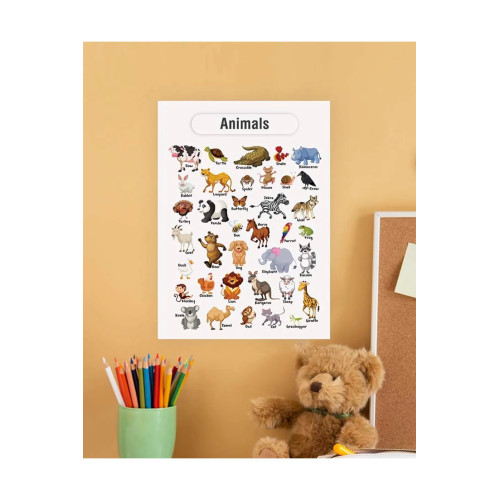 Animals-Hayvanlar Ingilizce Çocuk Eğitim Tekli Pvc Poster
