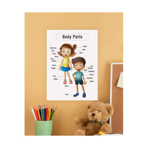 Body Parts-Vücudun Bölümleri Ingilizce Çocuk Eğitim Tekli Pvc Poster