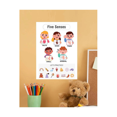 Five Senses-5 Duyu Ingilizce Çocuk Eğitim Tekli Pvc Poster