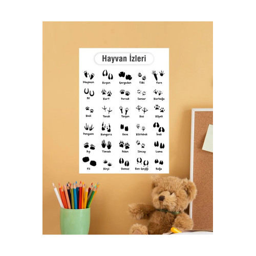 Hayvan İzleri Çocuk Türkçe Eğitim Pvc Poster