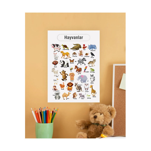 Hayvanlar Çocuk Türkçe Eğitim Tekli Pvc Poster