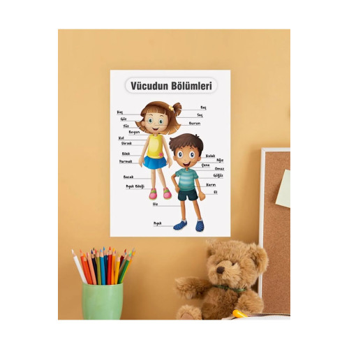 Vücut Bölümleri Çocuk Türkçe Eğitim Tekli Pvc Poster